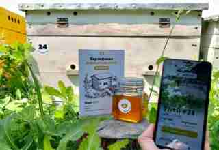 Bee Sharing Business