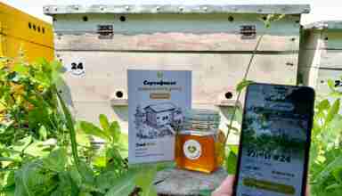 Bee Sharing Business