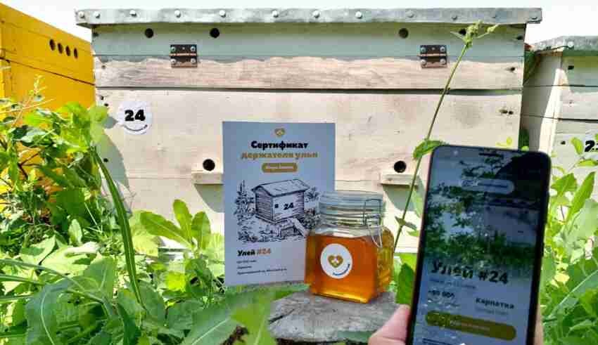 Bee Sharing Business