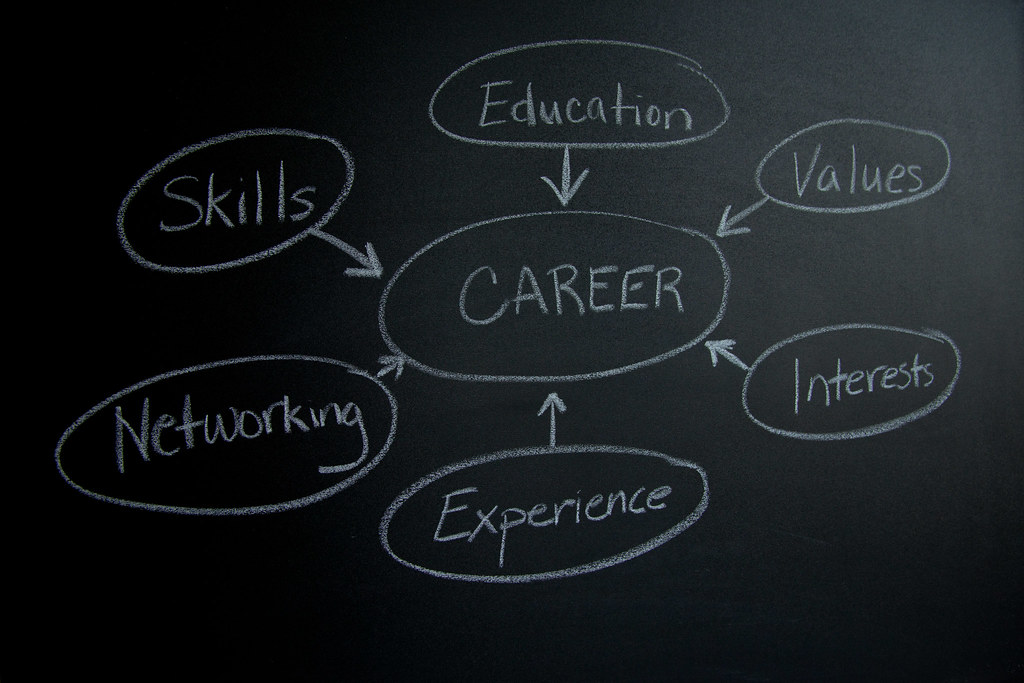 Work and career drivers