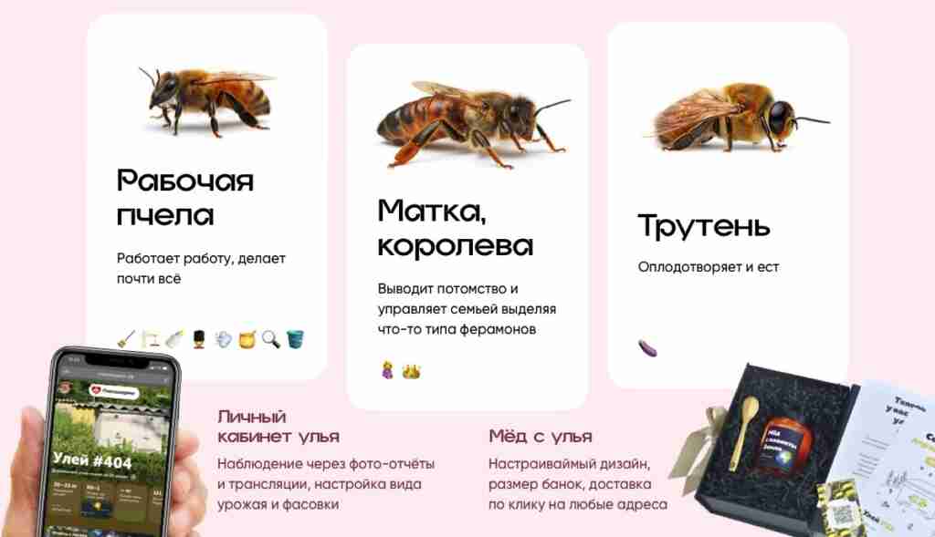 How much money one bee brings. Economics of beekeeping.