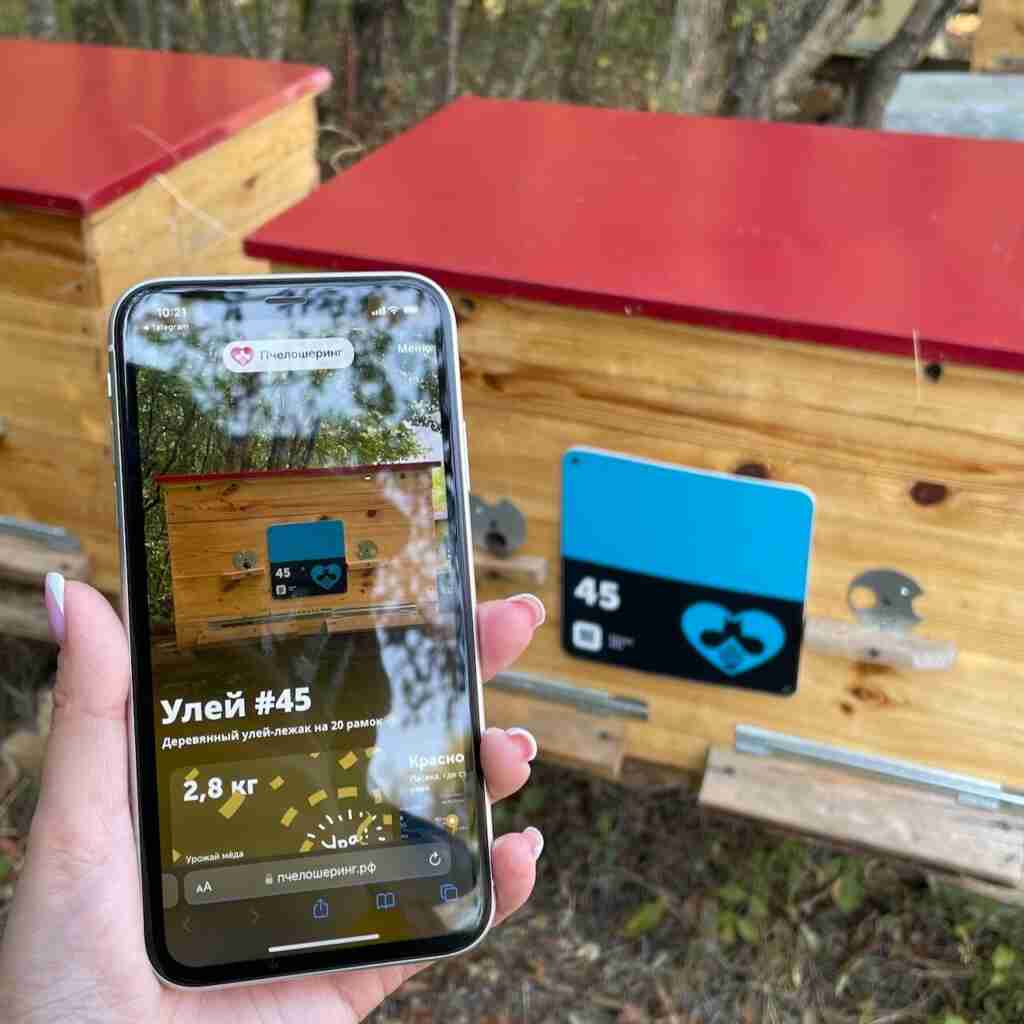 How much money one bee brings. Economics of beekeeping.